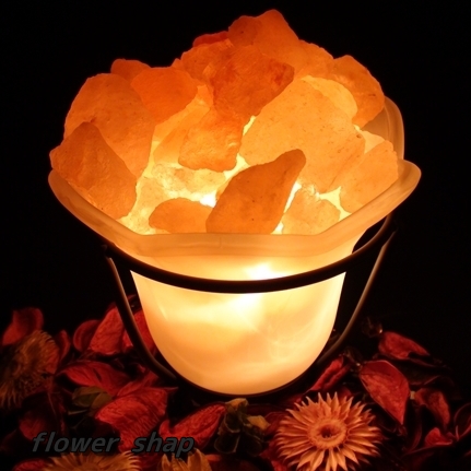 saltlamp ソルトランプ、岩塩ランプ、ポット、フラワーポット