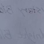 DSC06141-crop