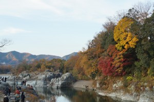 DSC07341-600